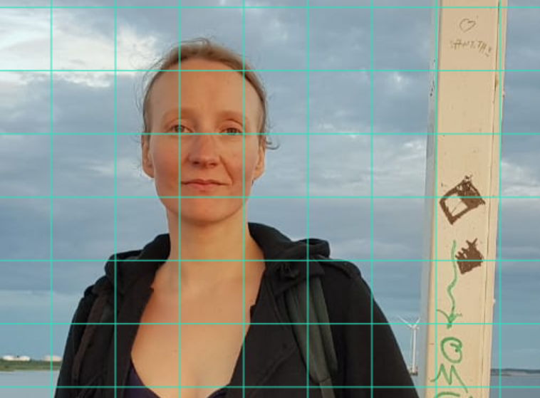 A visual of grid tool